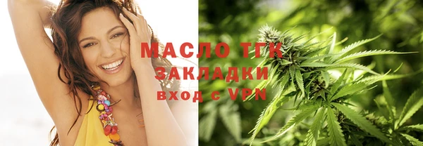 стаф Елабуга