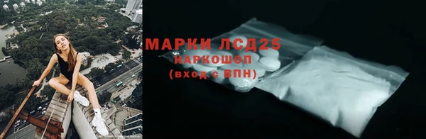 ГАЛЛЮЦИНОГЕННЫЕ ГРИБЫ Заволжье