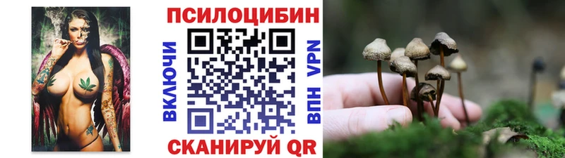 Галлюциногенные грибы прущие грибы  Купить  Злынка 